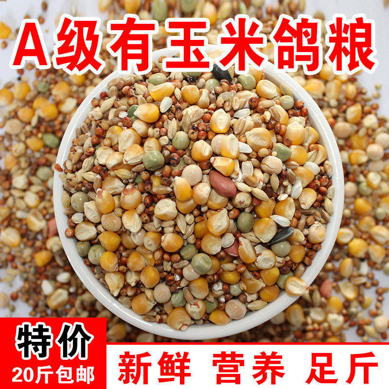 鸽粮20斤包邮有玉米鸽子