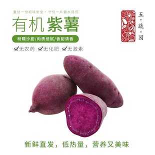 有机紫薯5斤 有机认证无农残 红薯地瓜香甜软糯蒸烤美味辅食