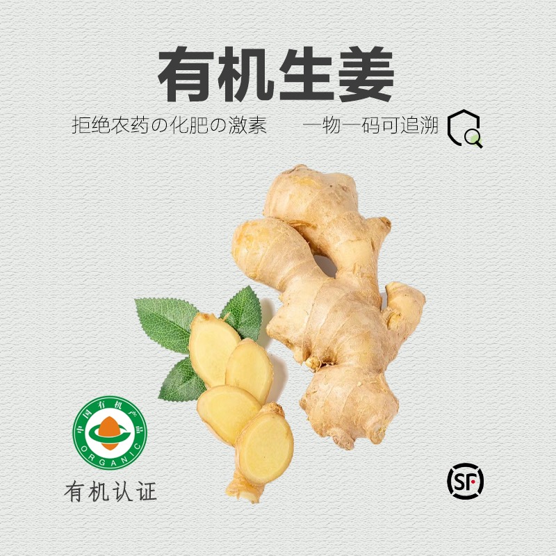 有机大姜有机认证无农残醋泡姜