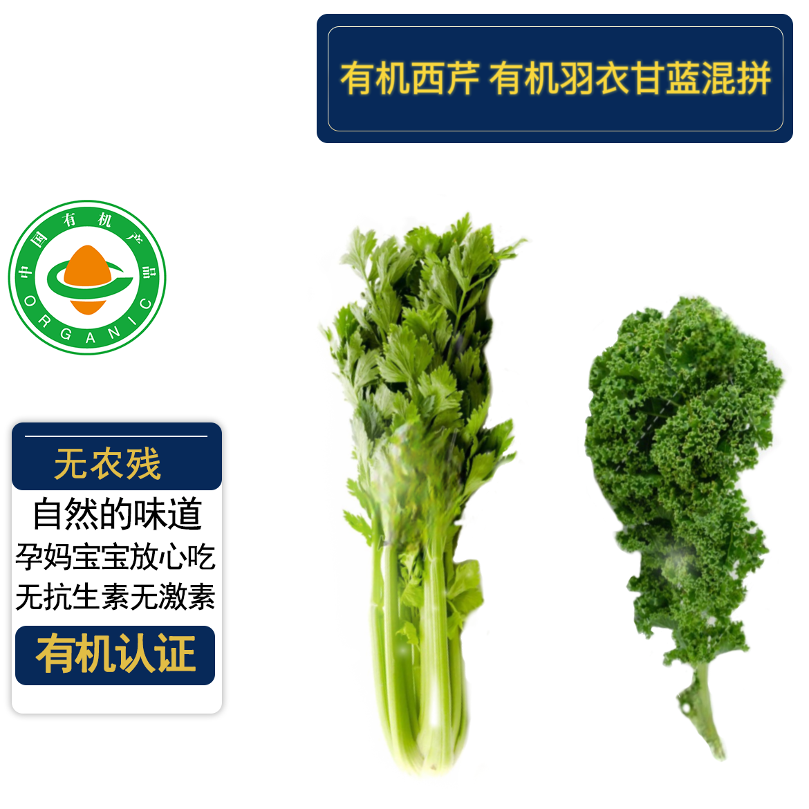 有机西芹有机羽衣甘蓝混拼4斤 现摘现发无农残 食疗沙拉榨汁顺丰