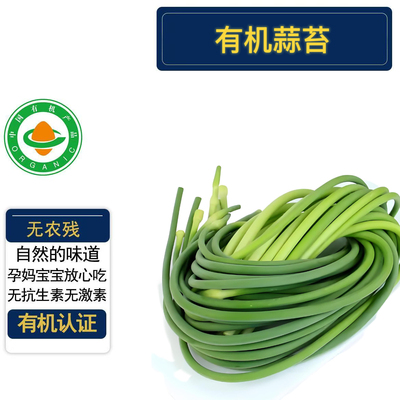 2025年新有机蒜苔有机认证无农残