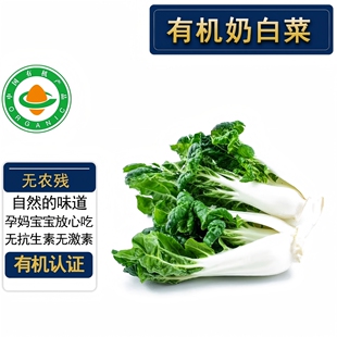 有机奶白菜新鲜  有机认证无农残健康放心美味宝宝辅食轻食顺丰