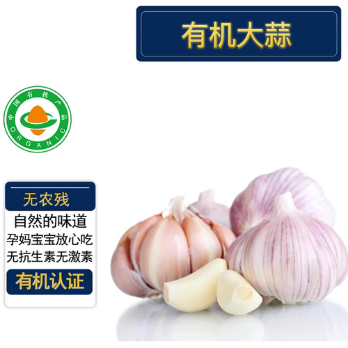 有机大蒜有机认证无农残