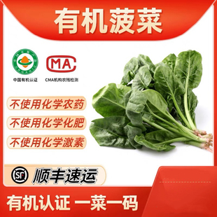 有机菠菜3斤 有机认证无农残 现摘现发绿叶菜天然 宝宝辅食顺丰
