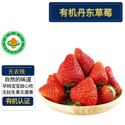 丹东99有机草莓有机认证无农残