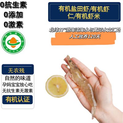 有机盐田虾鲜活速冻虾儿辅食