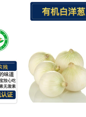 有机白洋葱5斤有机认证无农残