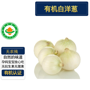 有机白洋葱5斤 有机认证无农残 新鲜蔬菜烹炒沙拉生吃低卡顺丰