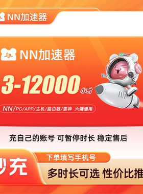 NN雷加速器神3-12000小时长可暂停鹅鸭杀主机网络游戏吃鸡暗黑4