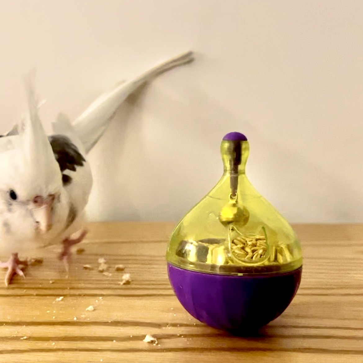 致鸟 鹦鹉丰容觅食玩具漏食球不倒翁益智玩具虎皮牡丹玄凤鹦鹉,宠物/宠物食品及用品,鸟玩具,淘宝优惠券,粉丝福利购,淘宝优惠卷