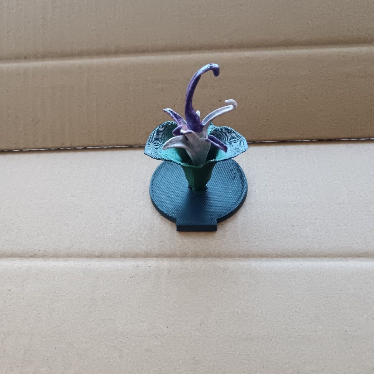 超自然行动组尸香魔芋金