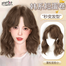 假发女全头套隐形无痕仿真发新款网红韩系蛋蛋卷日常整顶短发头套