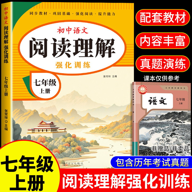 七年级上下册阅读理解专项训练书人教版初中语文课外阅读强化训练题答题技巧模板文言文现代文古诗文初一上册同步练习册必刷题下册