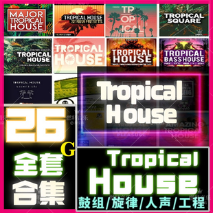 Tropical House慢摇Kygo音色音源采样鼓点水果舞曲live logic工程