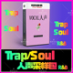 RnB Trap Soul Hiphop人声切片采样FLstudio音源Logic音色cubase