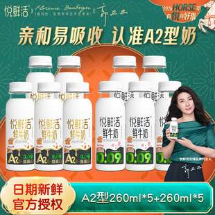 君乐宝悦鲜活鲜牛奶低温鲜奶A2型260ml营养早餐10瓶【现货速发】