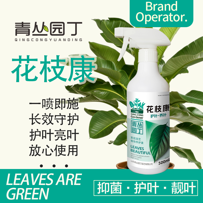 青丛园丁花枝康黄叶黑叶花卉绿植护叶养叶用直喷型果蔬园艺通用