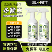 青丛园丁多箭王兰花专用生根植物促生花箭爆芽多箭防夹箭花多艳丽