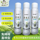 青丛园丁多箭王兰花专用冒箭促箭防夹箭花期长花多艳丽