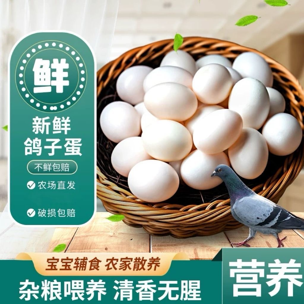 60枚农家散养新鲜鸽子蛋孕妈宝宝辅食杂粮喂养白鸽蛋现捡纯粮鸽蛋