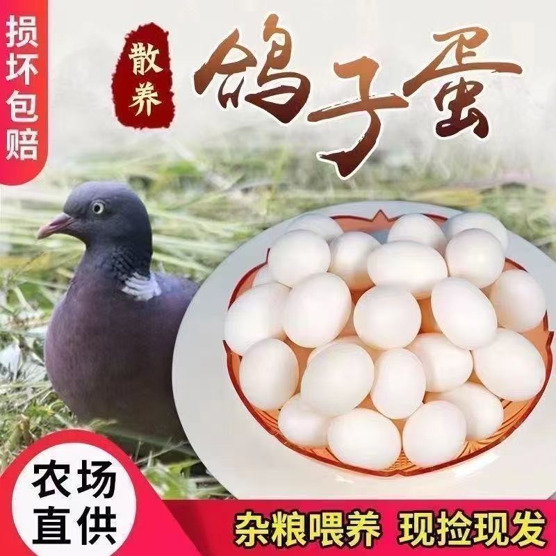 60枚农家散养新鲜鸽子蛋