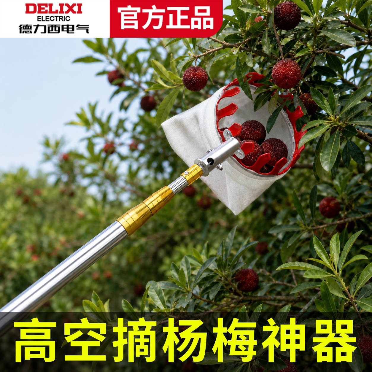 德力西电气摘杨梅神器伸缩杆摘果子神器摘枇杷荔枝剪树枝专用剪刀