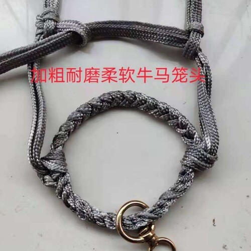 养牛场牛缰绳拴牛牛笼头