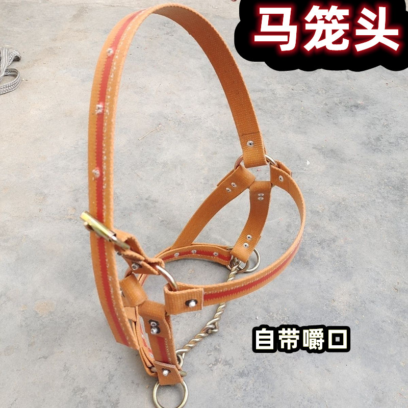 马笼头牵马绳马术用品马龙头马具