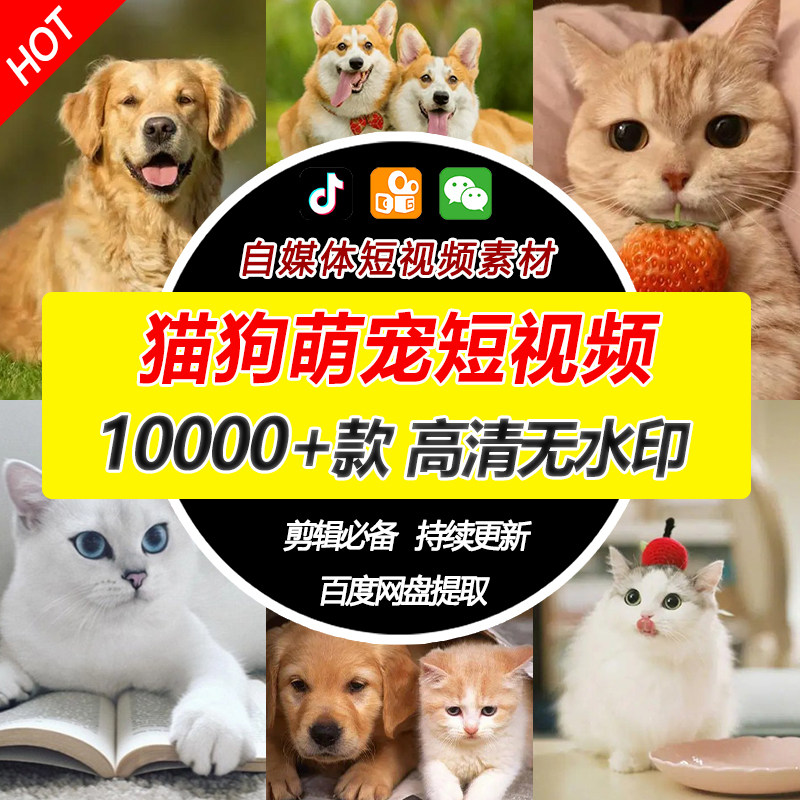 抖音推广宠物搞笑短视频素材合集动物萌宠二哈搞怪热门高清无水印