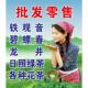 批发零售铁观音碧螺春龙井日照绿茶各种花茶海报展板墙贴墙纸
