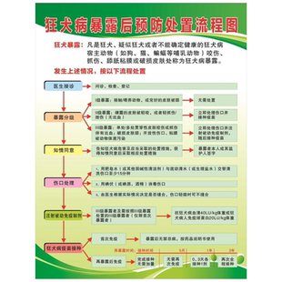 狂犬病暴露后预防处置流程图挂图墙贴纸写真展板海报印制挂图海报