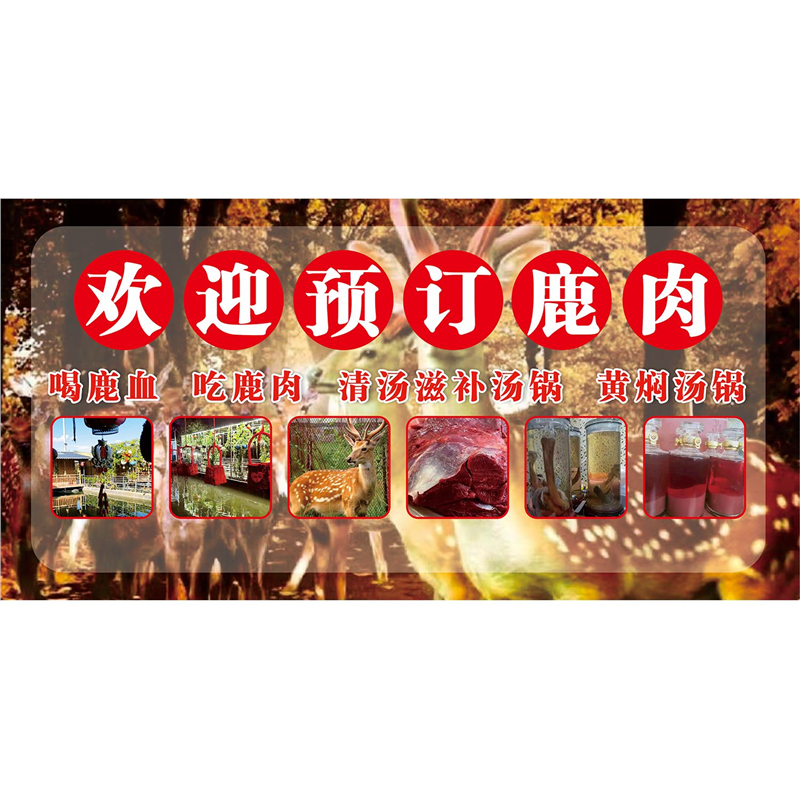 鹿肉海报展板滋补鹿肉锅曾经帝王餐上宴如今走进百姓家墙贴墙纸