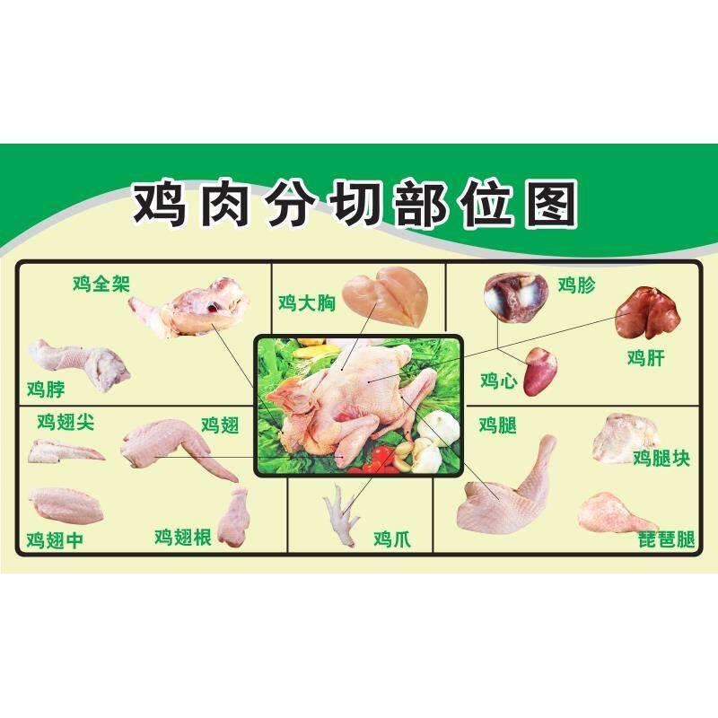鸡肉分割部位图家禽分割示意图鸡肉分切部位图海报贴画墙贴挂图