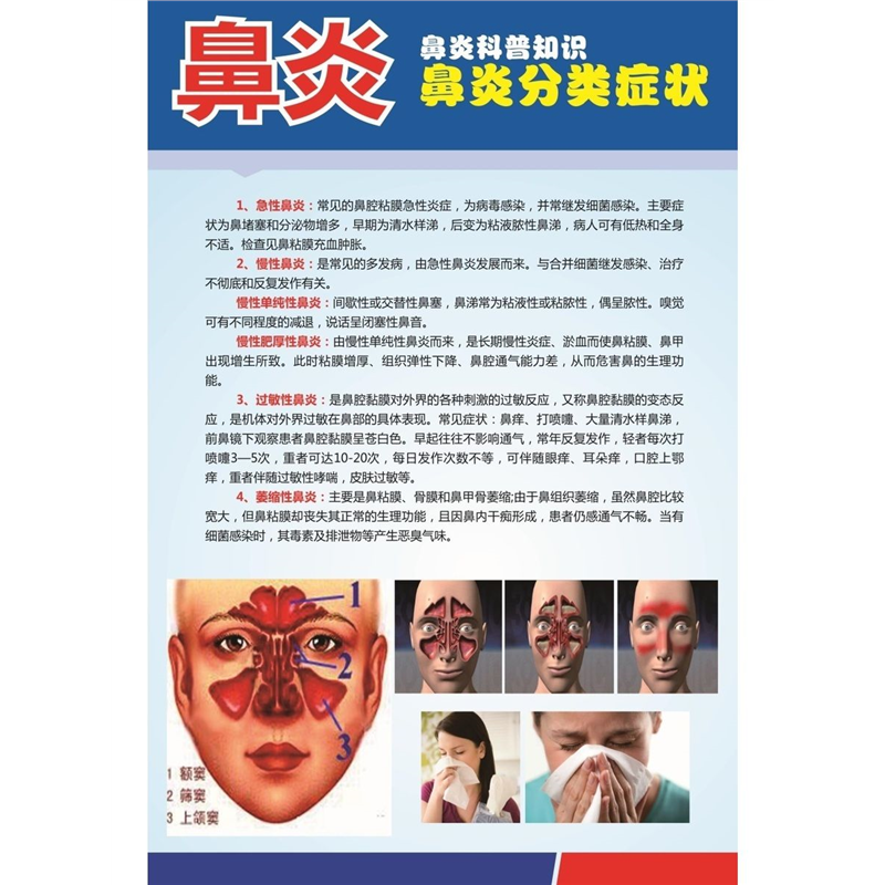 鼻炎的分类和自我诊断表海报展板鼻炎分类症状鼻炎科普知识墙贴