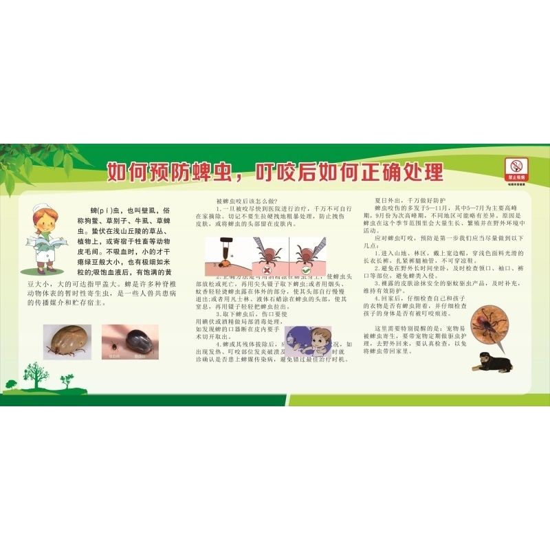 如何预防蜱虫们咬后如何正确处理海报展板蜱虫的危害及防治墙贴