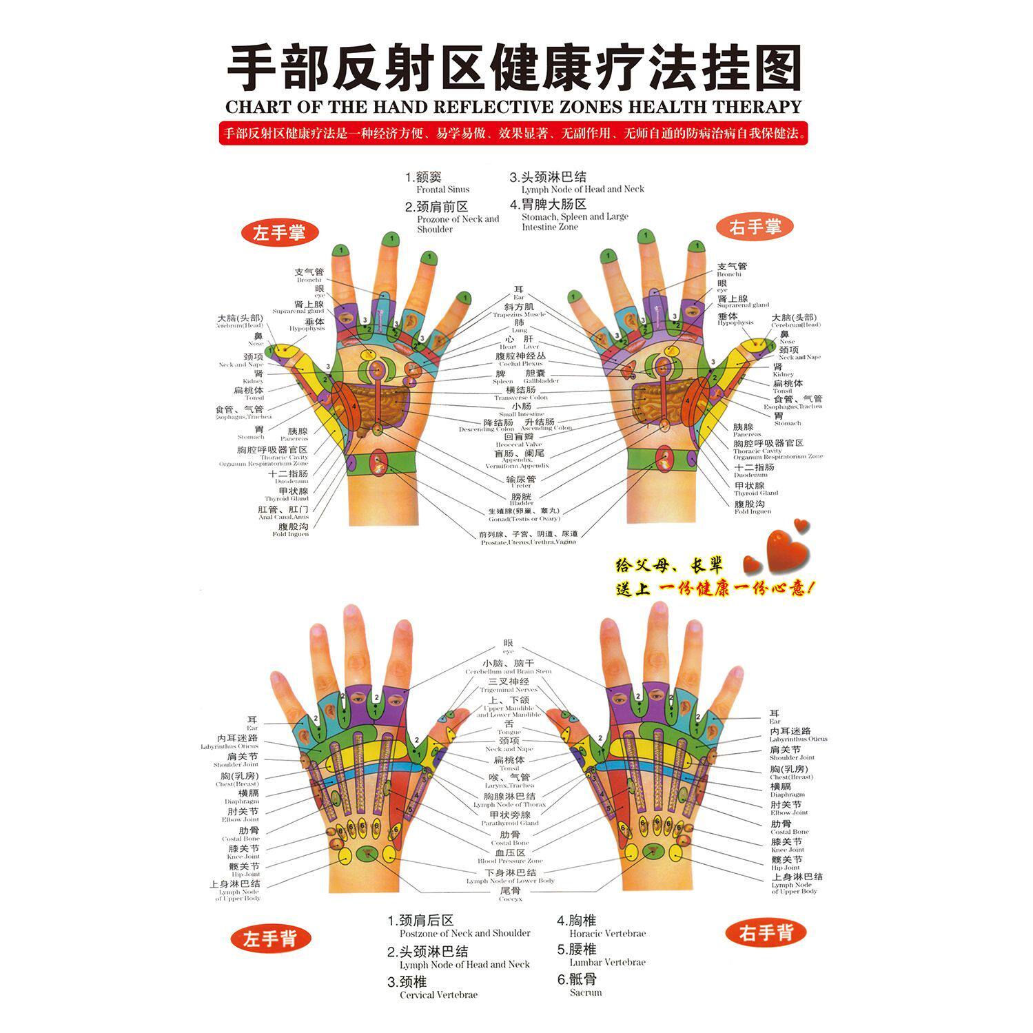 手按摩穴位图手部反射区大挂图人体针灸手部穴位与病症对照图墙贴