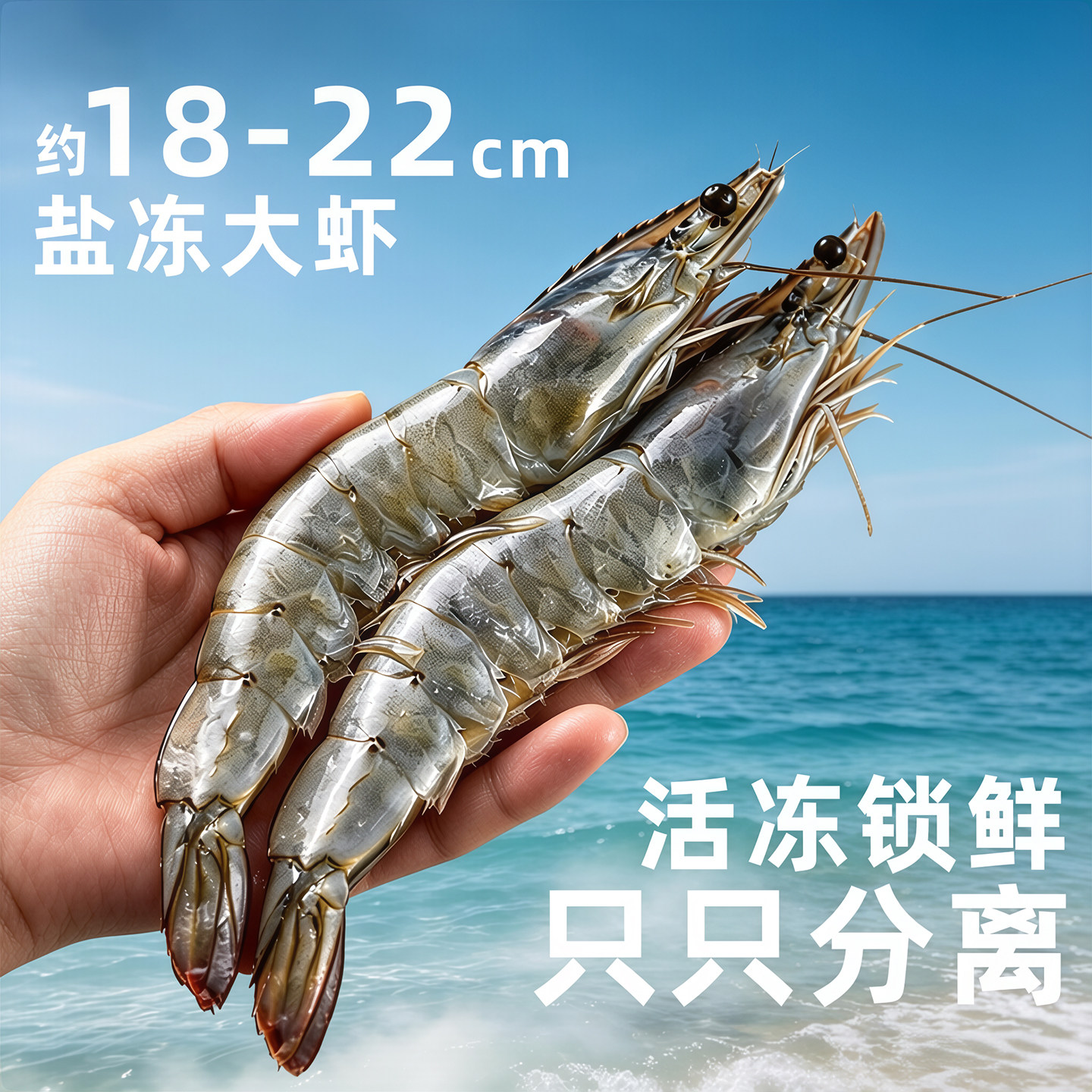 原装进口特大号厄瓜多尔盐冻白虾