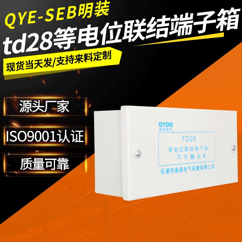 明装中号局部等电位联结端子箱td28辅助等电位卫生间防雷接地箱
