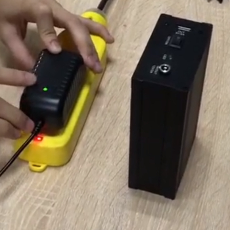 卡通人偶服装锂电池行走动漫服装吉祥物充气服装风机舞台表演