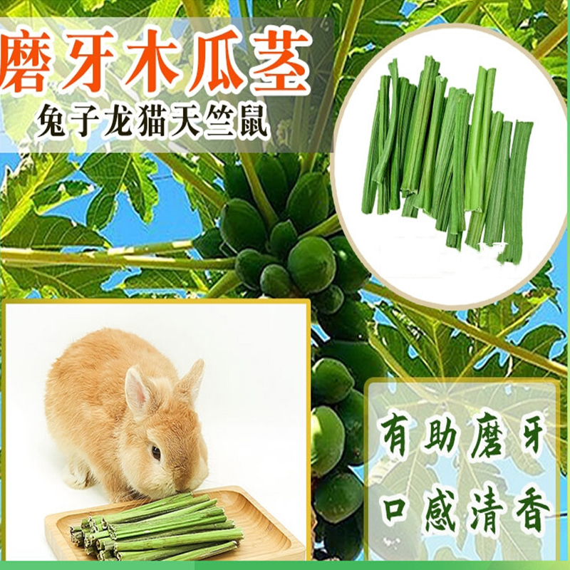 兔子磨牙木瓜茎磨牙棒零食木瓜树
