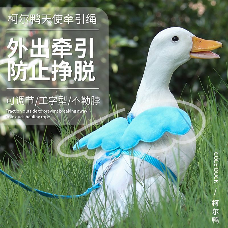 鸭子绳胸背带式牵引小鸡宠物