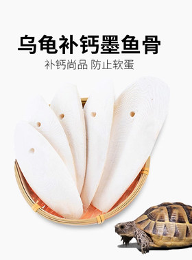 乌龟爬虫补钙墨鱼骨天然钙粉