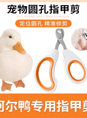 柯尔鸭专用指甲剪套装指甲刀修剪指甲钳宠物鸭磨甲器鸭子小宠用品