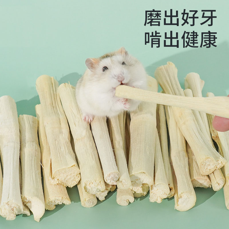仓鼠甜竹磨牙兔子金丝荷兰猪龙猫