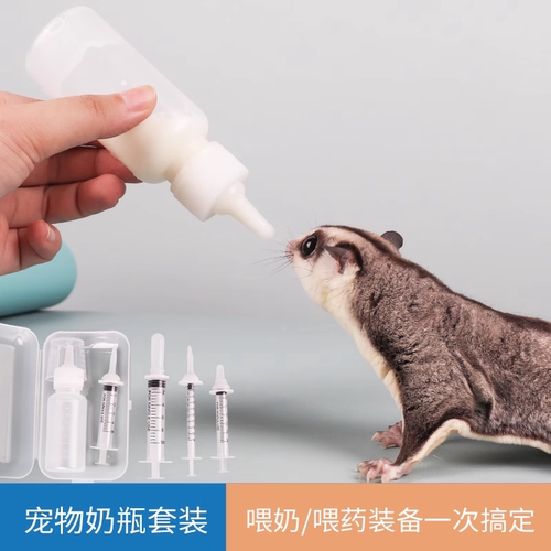 蜜袋蜜袋鼯喂奶喂食工具仓鼠松鼠