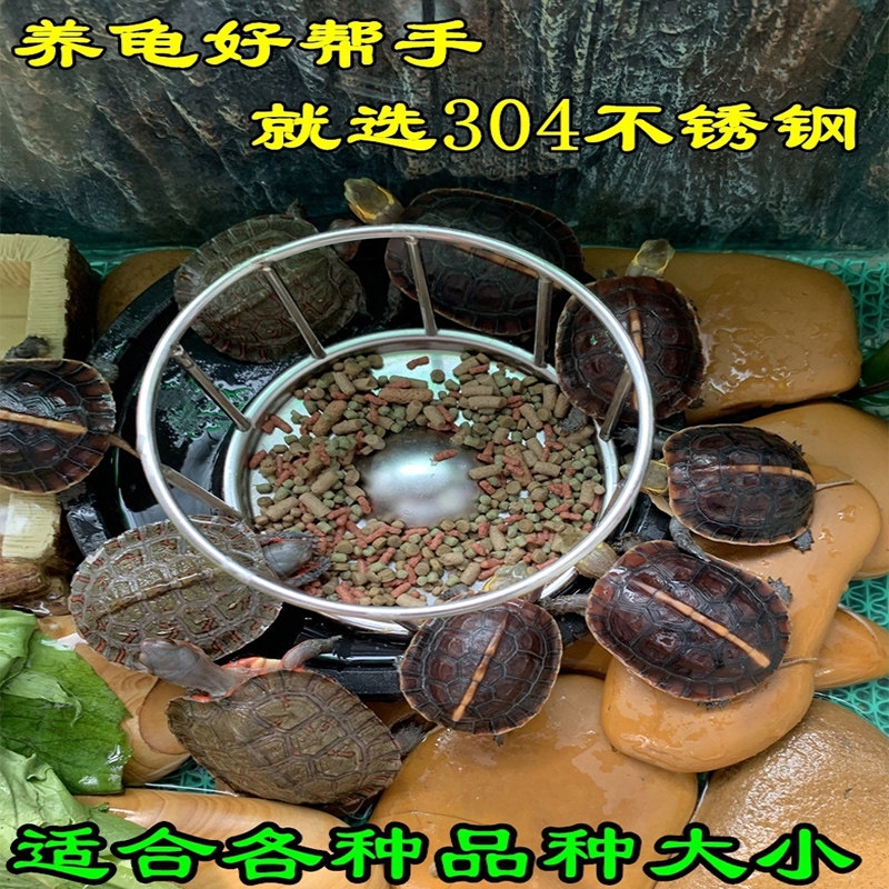 陆龟喂食盘乌龟食盆半水龟乌龟多格喂水盘304不锈钢乌龟喂食器,宠物/宠物食品及用品,喂食器,淘宝优惠券,粉丝福利购,淘宝优惠卷