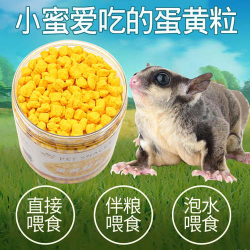 蜜袋鼯宠物蛋黄颗粒美亮毛小鼬松鼠花枝鼠宠物零食刺猬高蛋白食物
