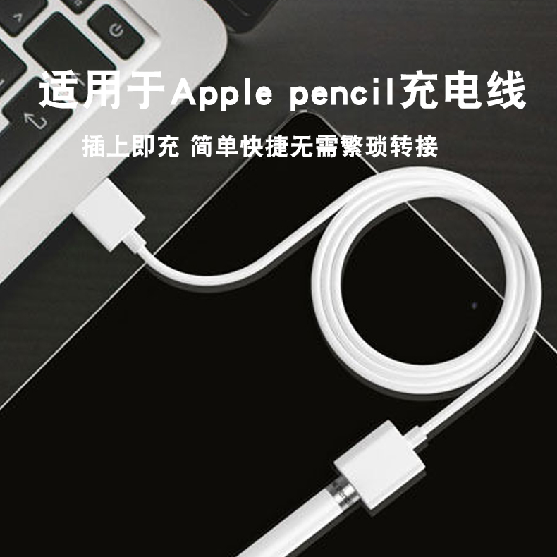 适用applepencil充电转接头苹果笔一代充电线ipencil充电器转换器iPad10代电容笔二代配件数据线触控usb配件 3C数码配件 手写笔 原图主图