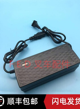 天宇力士越野叉车工地电动托盘搬运车充电器JH-WS48V-32充电机