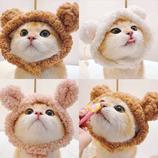 猫咪帽子头饰宠物泰迪狗狗冬季 帽子小型犬幼猫头套可爱小猫生日帽